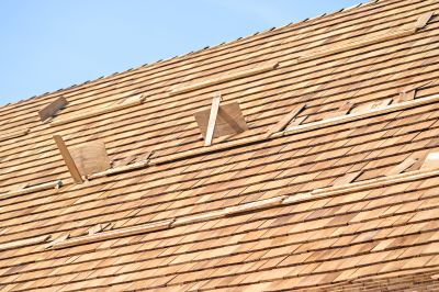 Signs You Need Roofing Service